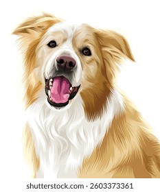 Detailed vector illustration of a dog
