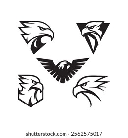 Detailed vector illustration of an eagle head with a fierce and determined expression.
