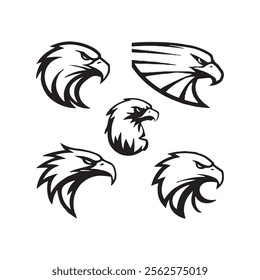 Detailed vector illustration of an eagle head with a fierce and determined expression.
