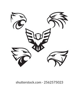 Detailed vector illustration of an eagle head with a fierce and determined expression.
