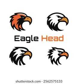 Detailed vector illustration of an eagle head with a fierce and determined expression.
