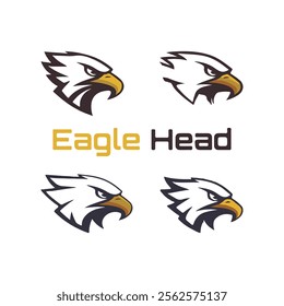 Detailed vector illustration of an eagle head with a fierce and determined expression.
