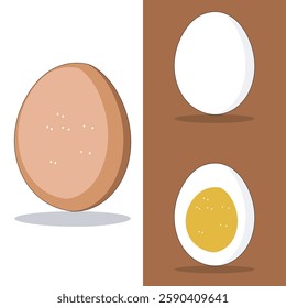 A detailed vector illustration of eggs, featuring a brown egg, a white egg, and a boiled egg with a yellow yolk. Perfect for food-related designs, cooking concepts, and nutrition visuals.