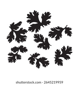 A detailed vector illustration featuring a silhouette of cilantro leaves. Perfect for adding a culinary touch to your design projects. Scalable.