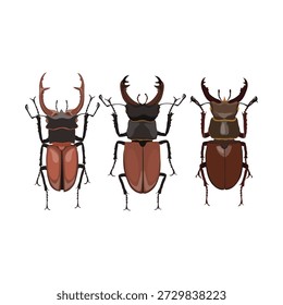 Uma ilustração vetorial detalhada com três besouros pretos e marrons dispostos em um layout limpo e mínimo. Cada besouro exibe formas, texturas e características anatômicas distintas, tornando este trabalho artístico ideal para conteúdo de biologia, estudos de entomologia, materiais educacionais, publicações sobre vida selvagem e projetos de design gráfico focados na natureza. Os tons arrojados da terra e o trabalho de linha preciso criam uma representação visualmente impressionante e cientificamente atraente de espécies de insetos, adequada para infográficos, temas ambientais, recursos científicos e materiais de aprendizagem para crianças.