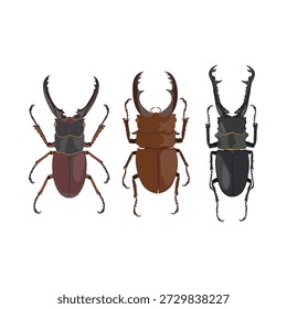 Uma ilustração vetorial detalhada com três besouros pretos e marrons dispostos em um layout limpo e mínimo. Cada besouro exibe formas, texturas e características anatômicas distintas, tornando este trabalho artístico ideal para conteúdo de biologia, estudos de entomologia, materiais educacionais, publicações sobre vida selvagem e projetos de design gráfico focados na natureza. Os tons arrojados da terra e o trabalho de linha preciso criam uma representação visualmente impressionante e cientificamente atraente de espécies de insetos, adequada para infográficos, temas ambientais, recursos científicos e materiais de aprendizagem para crianças.
