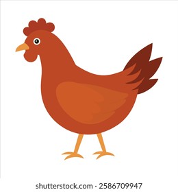 A detailed vector illustration of a full-body brown chicken hen, featuring its vibrant feathers, distinct body shape, and natural pose. Perfect for farm-themed designs, agriculture projects, or any 