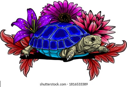 Detailed vector illustration of a generic tortoise land turtle in subtle greens.