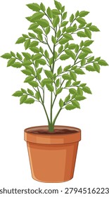 Detailed vector illustration of a green leafy plant growing in a terracotta clay pot