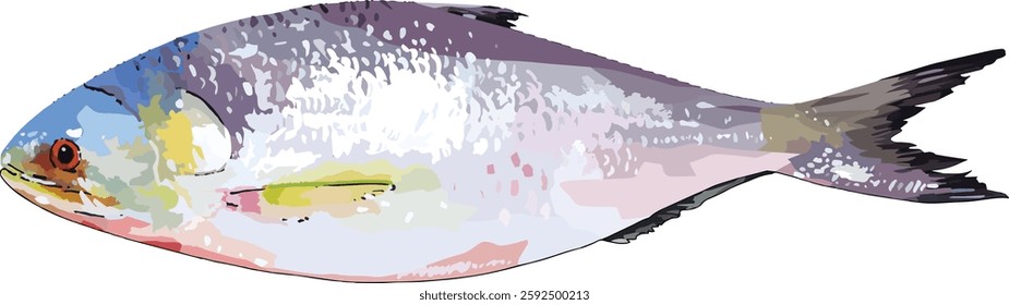 Detailed vector illustration of the Hilsa fish, Bangladesh's national fish, known locally as Ilish. Ideal for culinary designs, cultural projects, and educational materials related to Bengali cuisine.