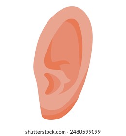 Detailed vector illustration of human ear anatomy on a white background, isolated and with a clean, simple design, perfect for medical, healthcare, and educational purposes