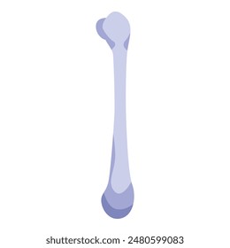 Detailed vector illustration of a human femur bone isolated on a white background, perfect for anatomy, medical, and skeletal system education and healthcare