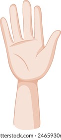 Ilustración vectorial detallada de una mano humana