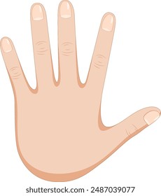 Detailed vector illustration of a human hand