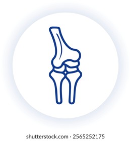 Detailed vector illustration of a human joint structure for medical and educational purposes