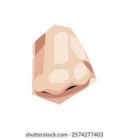 A detailed vector illustration of a human nose, perfect for medical and scientific illustrations.