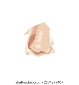 A detailed vector illustration of a human nose, perfect for medical and scientific illustrations.