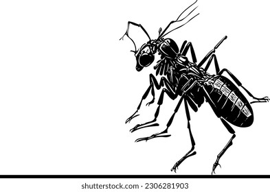 Detaillierte Vektorgrafik eines Insekts: Die Schönheit der Natur, lebendige Insekt-Illustration im Vektorformat: Ein genauer Blick