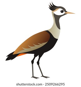Detailed vector illustration of a Kori Bustard, showcasing the largest flying bird in the world.