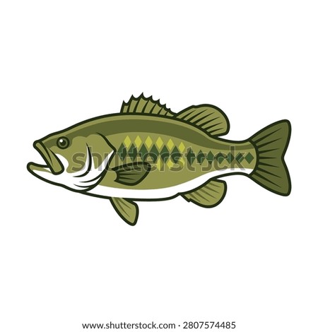 A detailed vector illustration of a largemouth bass fish shown in a side profile view.