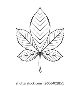 A detailed vector illustration of a leaf set against a clean white background. Ideal for nature-themed designs,