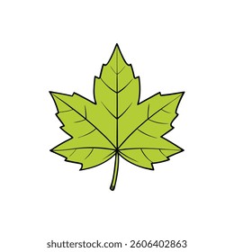 A detailed vector illustration of a leaf set against a clean white background. Ideal for nature-themed designs,