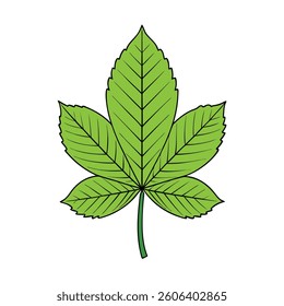 A detailed vector illustration of a leaf set against a clean white background. Ideal for nature-themed designs,
