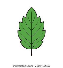 A detailed vector illustration of a leaf set against a clean white background. Ideal for nature-themed designs,