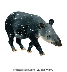 Detailed vector illustration of a Malayan tapir walking, perfect for wildlife design, educational content, and nature-themed projects.