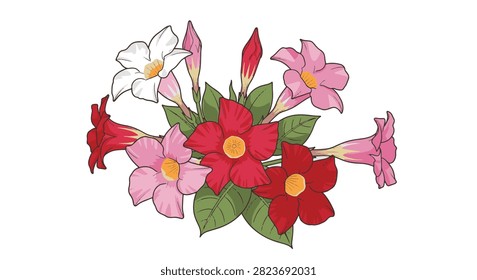 Detailed vector illustration of a mandevilla flower bouquet with vibrant red, pink, and white blooms and green leaves. Tropical Dipladenia cluster isolated on a plain white background.