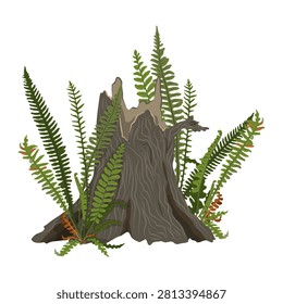 Detailed vector illustration of an old rotten tree stump overgrown with lush green fern leaves and wild forest flora, isolated on a white background for eco design, botanical layouts, and commercial wallpaper.