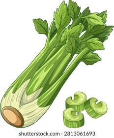 Ilustración vectorial detallada de tallos de apio orgánico y rodajas aisladas sobre un fondo blanco.