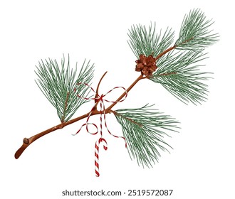 Ilustración vectorial detallada de una rama de pino con un solo cono y un bastón de caramelo atado con una cinta roja, perfecto para diseños festivos de temporada.