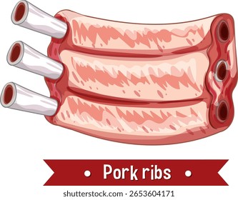 Detailed vector illustration of pork ribs with a focus on texture and color, ideal for culinary content