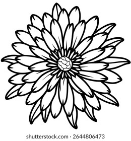 Detailed Vector Illustration of Purple Aster and Daisy Flowers – Botanical Art, Floral Design, Wildflowers, Nature Clipart, Spring Garden, Vintage Style, Hand-Drawn, Bloom, Natural Decor
