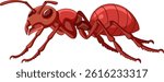 Detailed vector illustration of a red ant in side view