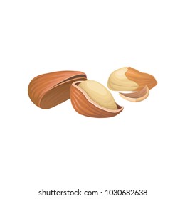 Detailed vector illustration of ripe Brazil nuts. Healthy nutrition. Culinary ingredient. Organic product. Tasty snack. Vegetarian food. Cartoon hand drawn icon