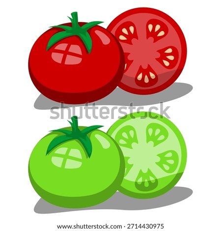 Detailed vector illustration of ripe red and unripe green tomatoes, whole and sliced, perfect for healthy food concepts or background designs.