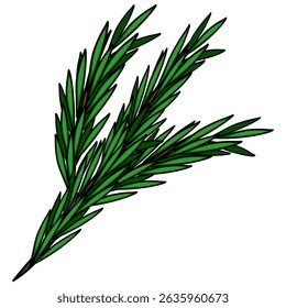 A detailed vector illustration of a rosemary sprig, showcasing its vibrant green leaves and intricate details, perfect for culinary or botanical designs.