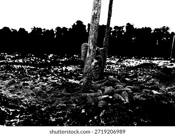 Ilustración vectorial detallada de caracoles de mar agrupados en un tronco de manglar. Plantilla de arte en blanco y negro de alto contraste con vida marina costera y texturas orgánicas del ecosistema de humedales.