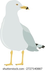 Eine detaillierte Vektorgrafik einer Möwe mit ihrem grau-weißen Gefieder und ihren markanten Markierungen. Perfekt für Designs zum Thema Strand, Meer, Küste und Tierwelt oder für digitale Projekte.