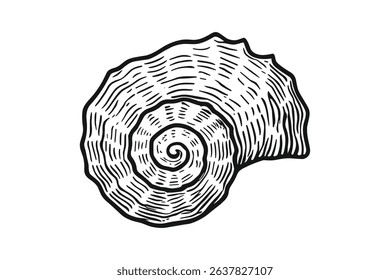 Detailed Vector Illustration of a Seashell with Spiral Pattern Marine Life