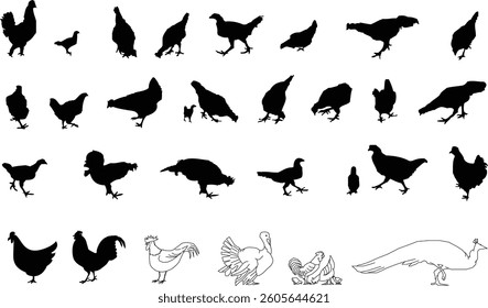 A detailed vector illustration of a set of birds featuring various species and poses. Perfect for nature, wildlife, and bird-themed designs, logos, and more. Available in editable EPS format.