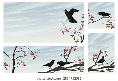 Detailed vector illustration set of wild black raven Corvus corax sitting and flying in a scenic winter forest landscape featuring frozen rowan tree branches with red berries and snow backdrop