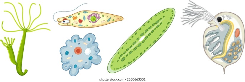 Ilustração vetorial detalhada apresentando diversos micro-organismos com cores vibrantes e desenhos intrincados, destacando a diversidade biológica e a complexidade