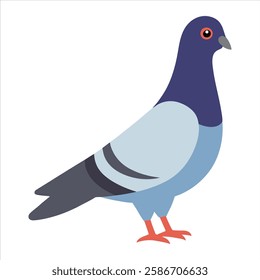 A detailed vector illustration showcasing the full body of a speed racing pigeon bird in dynamic motion. The design highlights its aerodynamic features, sharp wings, and sleek form, capturing the 