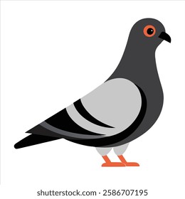 A detailed vector illustration showcasing the full body of a speed racing pigeon bird in dynamic motion. The design highlights its aerodynamic features, sharp wings, and sleek form, capturing 