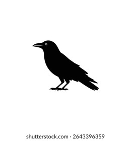 Detailed vector illustration showcasing a solid black silhouette of a raven standing, with sharp details and clean lines on a white backdrop, simple and refined.