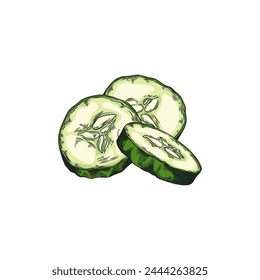 Eine detaillierte Vektorillustration von geschnittenen Gurken mit einem Hauch von Farbe, die ihre Textur und Frische in einem handgezeichneten Stil zeigt.