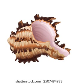 Detailed vector illustration of a spiky seashell with brown and pink tones.